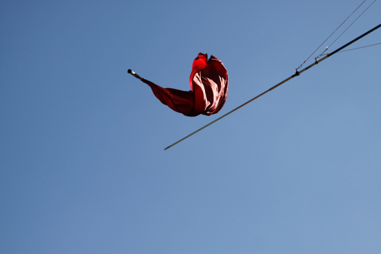 _MG_9049.jpg